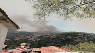 Muğlada orman yangını