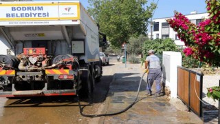 Mumcularda temizlik seferberliği
