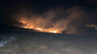 Muşta 3 ayrı alanda çıkan orman yangınları söndürüldü