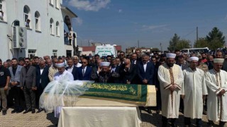 Narinin cesedini dereye taşıyan şüpheli olayı detaylarıyla anlattı