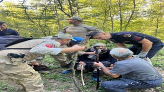 Ormanda kaybolan yaşlı kadın bulundu