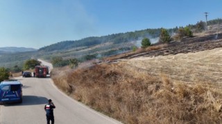 Ormanlık alanda korkutan yangın