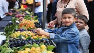Osmangazinin en güzel üzümleri seçildi