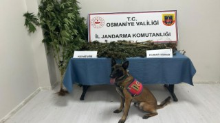 Osmaniye Jandarması Asayiş Operasyonlarını Sürdürüyor