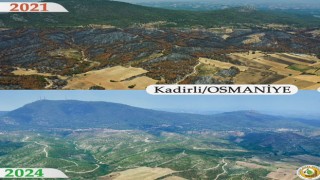 Osmaniye’de 2 Milyon Fidanla Hayat Yeniden Yeşeriyor