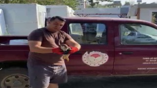 Osmaniyede bahçede yaralı bulunan atmaca tedavi altına alındı