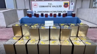 Osmaniye'de Sahte Bal Operasyonu