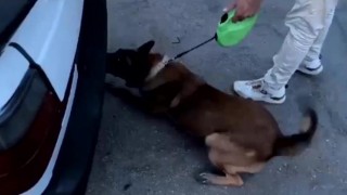Otomobilin yedek lastiğinden uyuşturucu madde çıktı