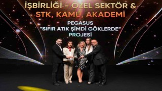 Pegasusa sürdürülebilir iş ödülü