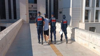 PKK/KCK propagandası yapan 1 kişi yakalandı