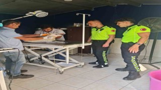 Polis ekipleri yaralı köpeği kurtardı