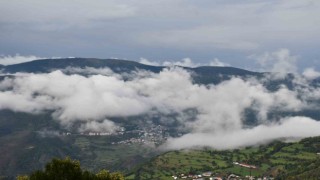 Posof ilçesini sis bulutu kapladı