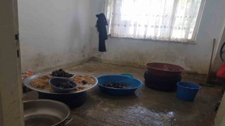 Sağlıksız midyelere zabıta el koydu