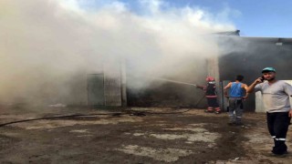Sakaryada 2 ahır ve 2 samanlık alevlere teslim oldu: 1 yaralı