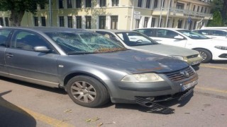 Sakaryada çürüyen ağaç devrildi, 4 araç hasar gördü