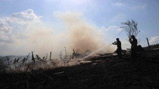 Sakaryada korkutan yangın: Ahırda başladı, ormanlık alana sıçradı