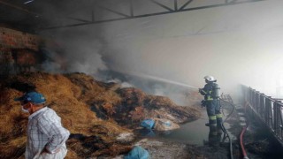 Samanlıkta çıkan yangında 250 balya saman kül oldu