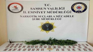 Samsunda narkotik uygulaması: 28 kişi yakalandı