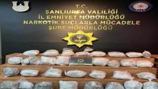 Şanlıurfada 23 kilo skunk ele geçirildi