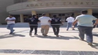 Şanlıurfada yakalanan hayvan hırsızı tutuklandı