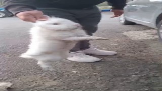 Şapkadan değil, motordan tavşan çıkarttı
