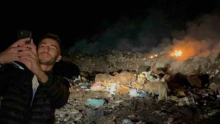 Sarıkamışta ayılarla tehlikeli selfie