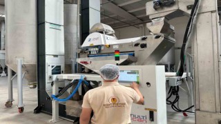 Siirt Fıstığına yeni makineyle ayrım süreci