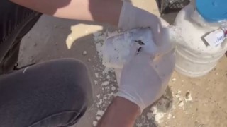 Siirtte peynir bidonunda uyuşturucu yakalandı