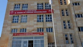 Şırnakta boş arı kovan desteği başvuruları başladı