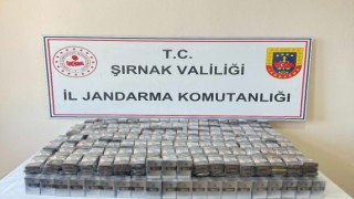 Şırnakta Jandarmadan kaçakçılık operasyonu: 26 gözaltı