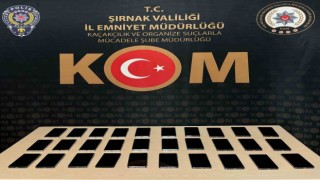 Şırnakta kaçakçılık ve asayiş operasyonunda 4 kişi tutuklandı