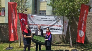 Şırnakta “Kent Tarımıyla Sebzecilik Gelişiyor Projesi” ile yüzde 75 hibeli fide dağıtımı yapıldı