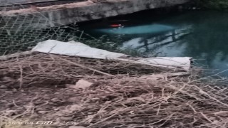 Sulama kanala düşen otomobilden yara almadan kurtuldular