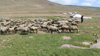 Tarımda yeni yaklaşımlar anlatıldı
