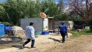 Tarladaki konteynerde yaşayan adam ölü bulundu