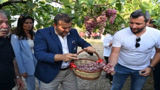 Tekirdağda Bağbozumu Şenliği coşkusu
