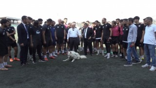 Tepecik Sporun sahiplendiği sevimli köpek takımın maskotu oldu