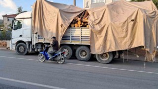 Tonlarca kütük yola devrildi, öğretmen bir adımla ölümden kurtuldu