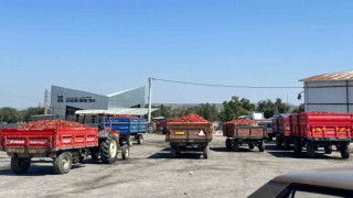 Tüccar alımı durdurdu tonlarca biber elde kaldı