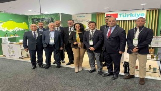 Türk zeytin ve zeytinyağı ihracatçılarından Avustralya çıkarması