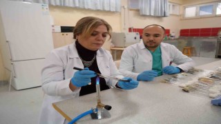 Türkiyede ilk kez ahırlarda oluşan küf ve mantar çeşitleri araştırıldı, ortaya ilginç sonuçlar çıktı