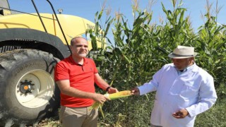Üreten Üniversite NÖHÜde mısır hasadı başladı