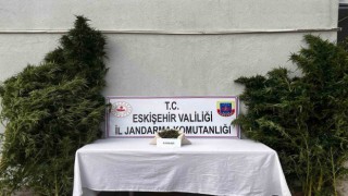 Uyuşturucu imal edip ticaretini yaptığı belirlenen şüpheli yakalandı