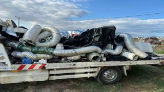 Uyuşturucu operasyonunda skunk serası ortaya çıkarıldı