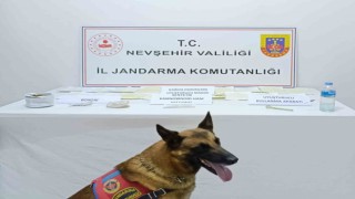 Uyuşturucu taciri tutuklandı