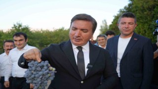 Üzümün başkenti Erzincanda 5 yeni üzüm çeşidi tescil alıyor
