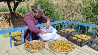 Uzun kış gecelerinde tüketmek için meyveler damlarda kurutuluyor