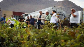 Vali Çelik: Daha yeşil ve daha güzel Hakkari için çalışıyoruz