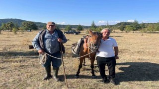Yabani ağaçlarda yapılan aşılama meyve verimini artırdı
