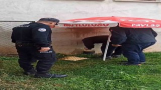 Yağmur altında kedi kurtarma operasyonu: boruya sıkışan kedi itfaiye ekiplerince kurtarıldı